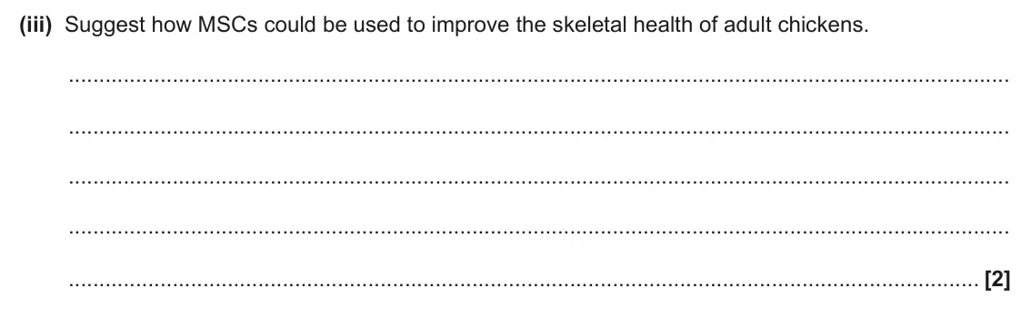 June 2024 AS Paper 1, question 24(b)(iii): Suggest how MSCs could be used to improve the skeletal health of adult chickens. [2]
