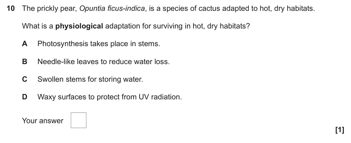 June 2025 AS Paper 1, question 10: The prickly pear, Opuntia ficus-indica, is a species of cactus adapted to hot, dry habitats. What is a physiological adaptation for surviving in hot, dry habita