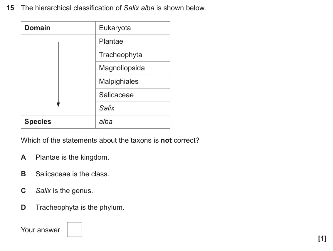 June 2025 AS Paper 1, question 15: The hierarchical classification of Salix alba is shown below. Domain Eukaryota Plantae Tracheophyta Magnoliopsida Malpighiales Salicaceae Salix Species alba Whi