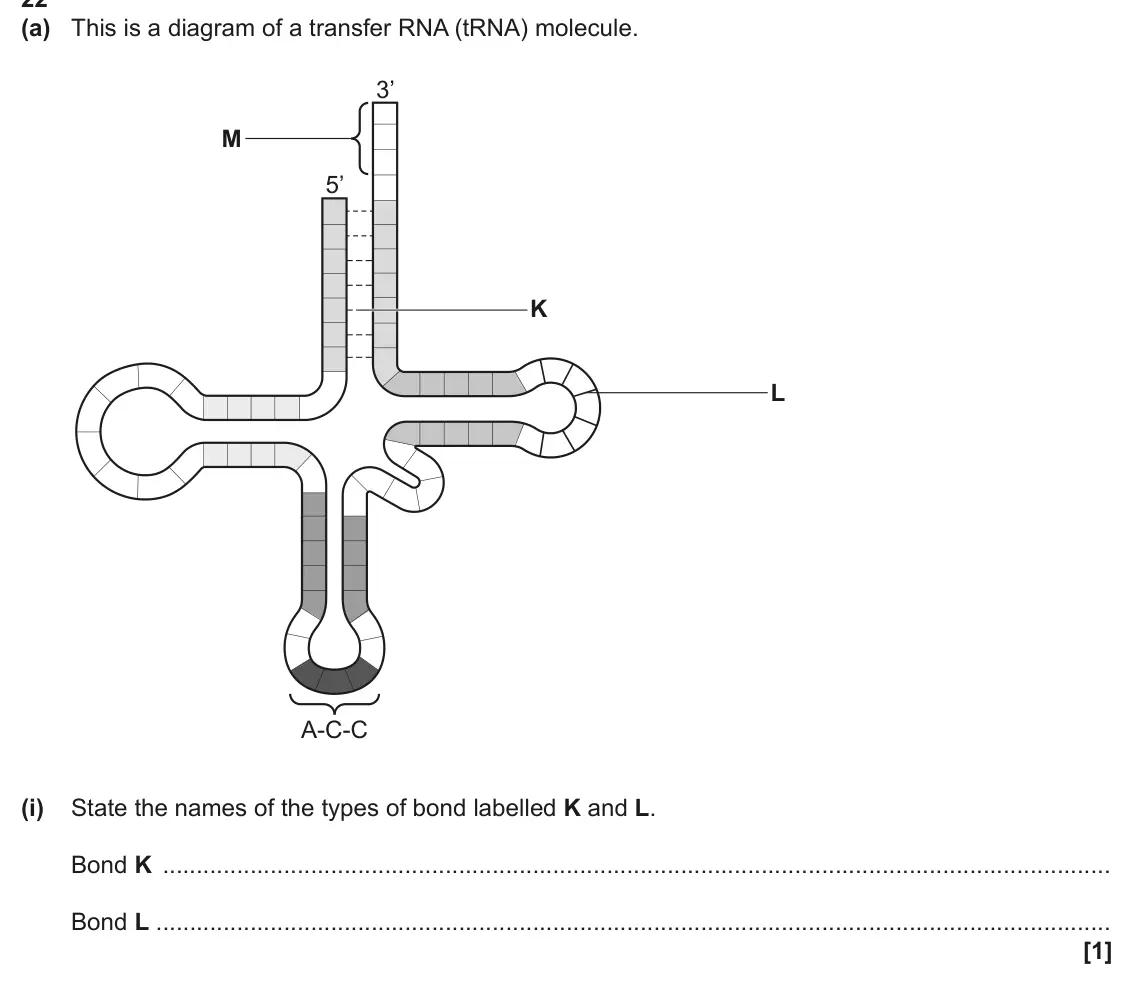June 2025 AS Paper 1, question 22(a)(i): State the names of the types of bond labelled K and L. Bond K Bond L [1]