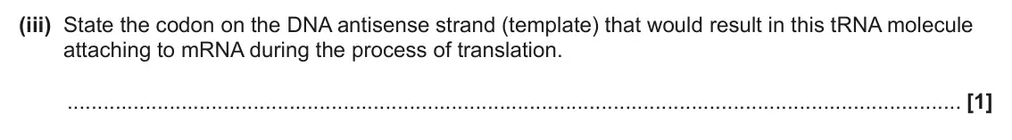 June 2025 AS Paper 1, question 22(a)(iii): State the codon on the DNA antisense strand (template) that would result in this tRNA molecule attaching to mRNA during the process of translation. [1]