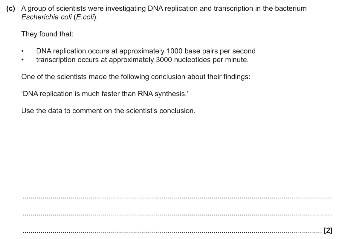 June 2025 AS Paper 1, question 22(c): A group of scientists were investigating DNA replication and transcription in the bacterium Escherichia coli (E.coli). They found that: • DNA replication occurs