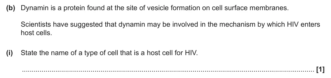 June 2025 AS Paper 1, question 24(b)(i): State the name of a type of cell that is a host cell for HIV. [1]