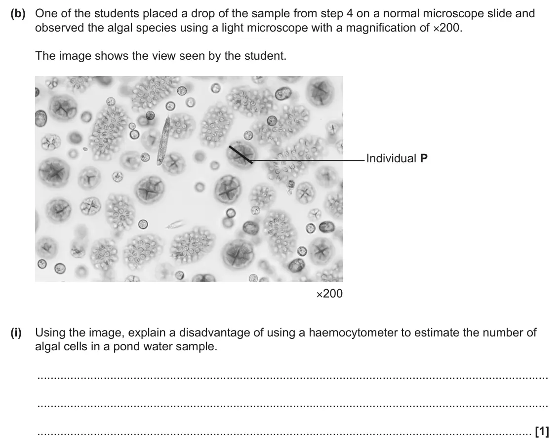 June 2025 AS Paper 1, question 25(b)(i): Using the image, explain a disadvantage of using a haemocytometer to estimate the number of algal cells in a pond water sample. [1]