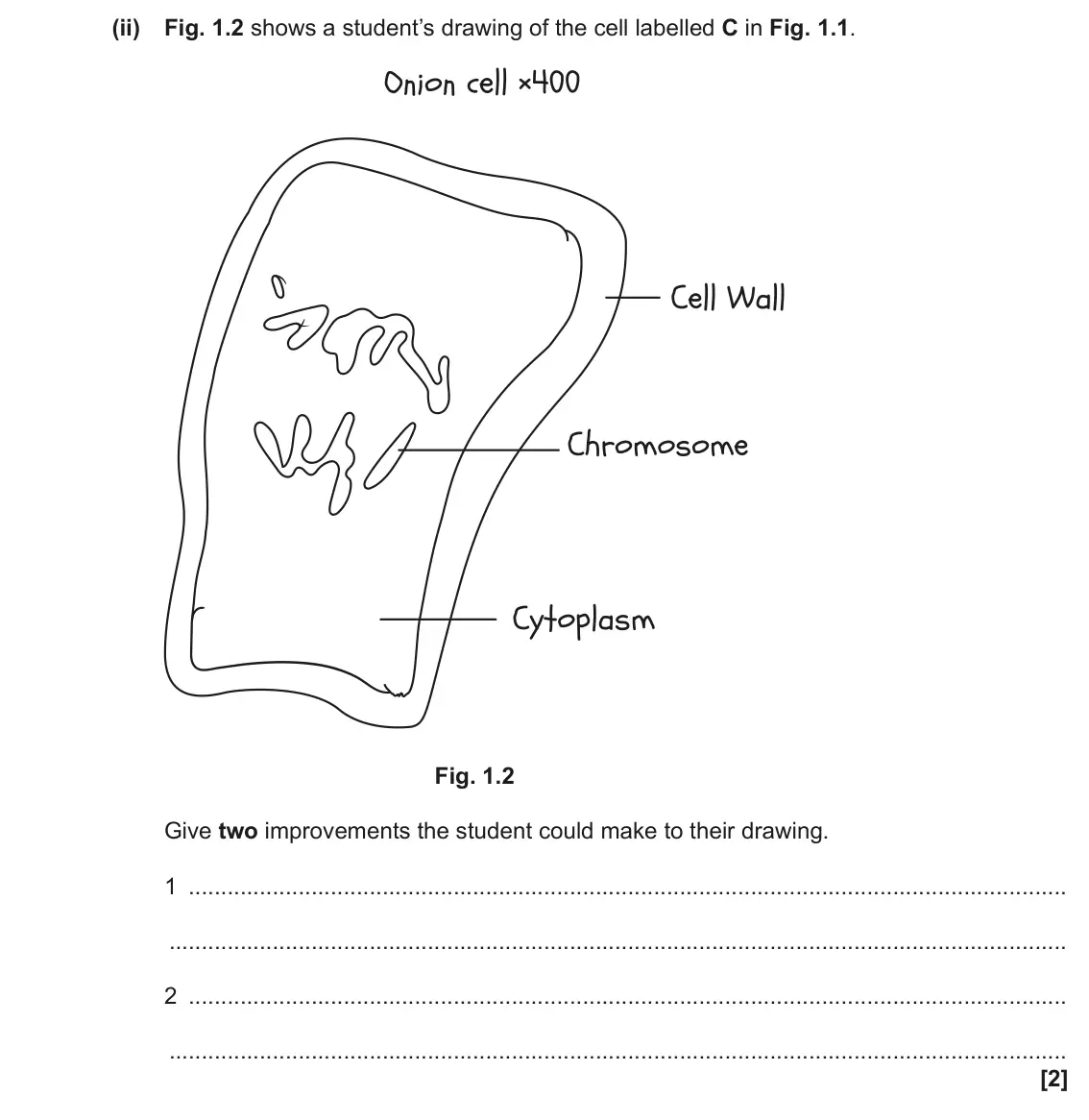 June 2022 AS Paper 2, question 1(a)(ii): Fig. 1.2 shows a student’s drawing of the cell labelled C in Fig. 1.1. Fig. 1.2 Give two improvements the student could make to their drawing. 1 2 [2]