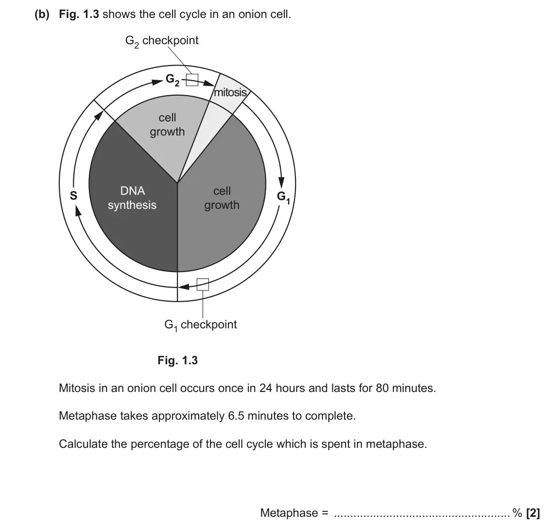 June 2022 AS Paper 2, question 1(b): Fig. 1.3 shows the cell cycle in an onion cell. G2 checkpoint G2 mitosis cell growth DNA cell S G1 synthesis growth G1 checkpoint Fig. 1.3 Mitosis in an onion c