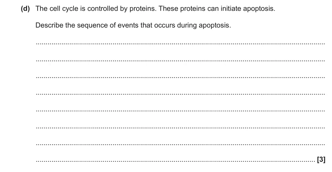 June 2022 AS Paper 2, question 1(d): The cell cycle is controlled by proteins. These proteins can initiate apoptosis. Describe the sequence of events that occurs during apoptosis. [3]
