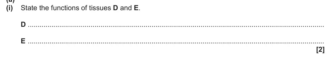 June 2024 AS Paper 2, question 1(a)(i): State the functions of tissues D and E. D E [2]