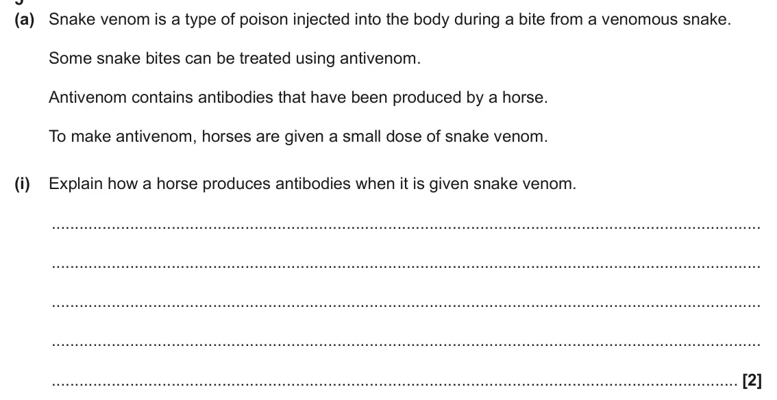 June 2024 AS Paper 2, question 5(a)(i): Explain how a horse produces antibodies when it is given snake venom. [2]