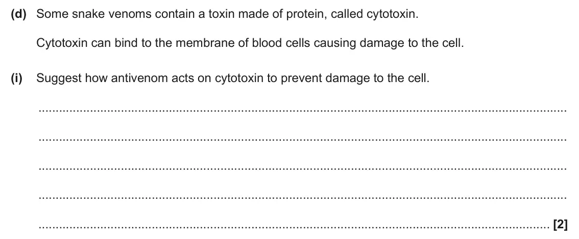 June 2024 AS Paper 2, question 5(d)(i): Suggest how antivenom acts on cytotoxin to prevent damage to the cell. [2]