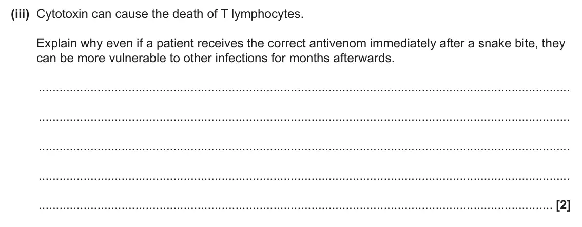 June 2024 AS Paper 2, question 5(d)(iii): Cytotoxin can cause the death of T lymphocytes. Explain why even if a patient receives the correct antivenom immediately after a snake bite, they can be more vu