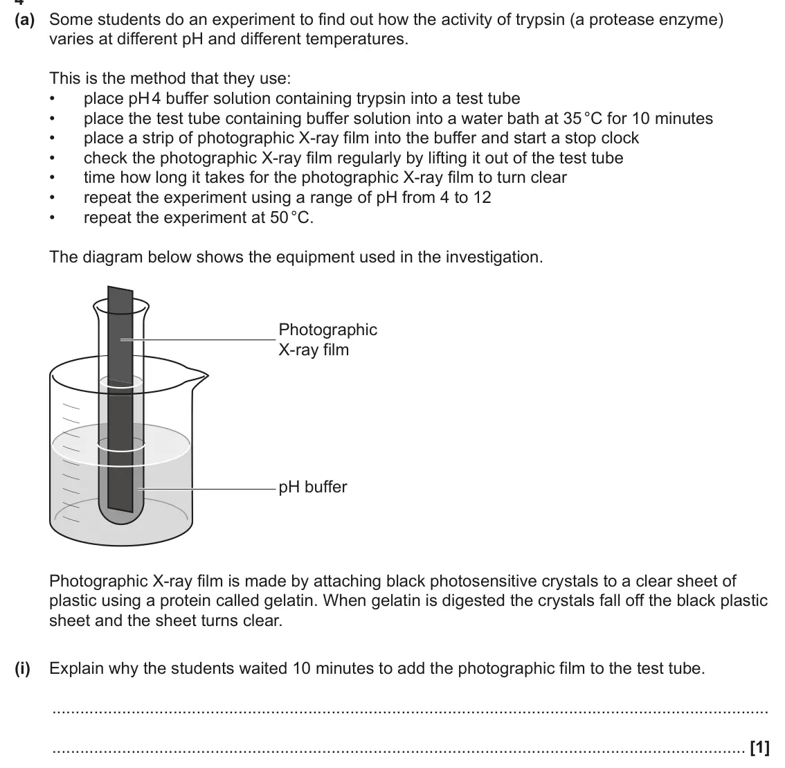 June 2025 AS Paper 2, question 4(a)(i): Explain why the students waited 10 minutes to add the photographic film to the test tube. [1]