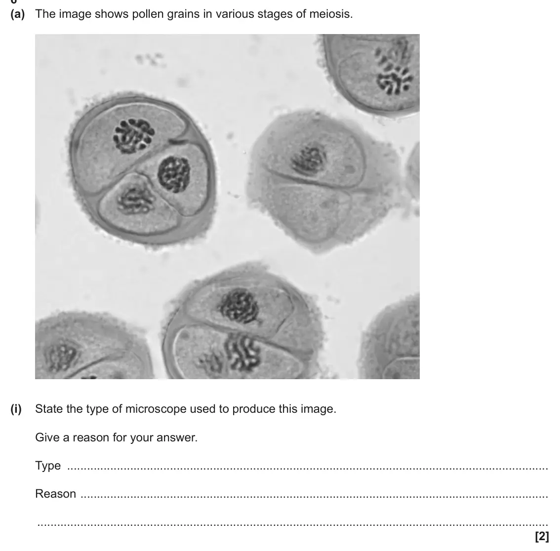 June 2025 AS Paper 2, question 6(a)(i): State the type of microscope used to produce this image. Give a reason for your answer. Type Reason [2]