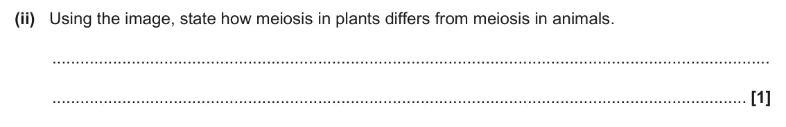 June 2025 AS Paper 2, question 6(a)(ii): Using the image, state how meiosis in plants differs from meiosis in animals. [1]