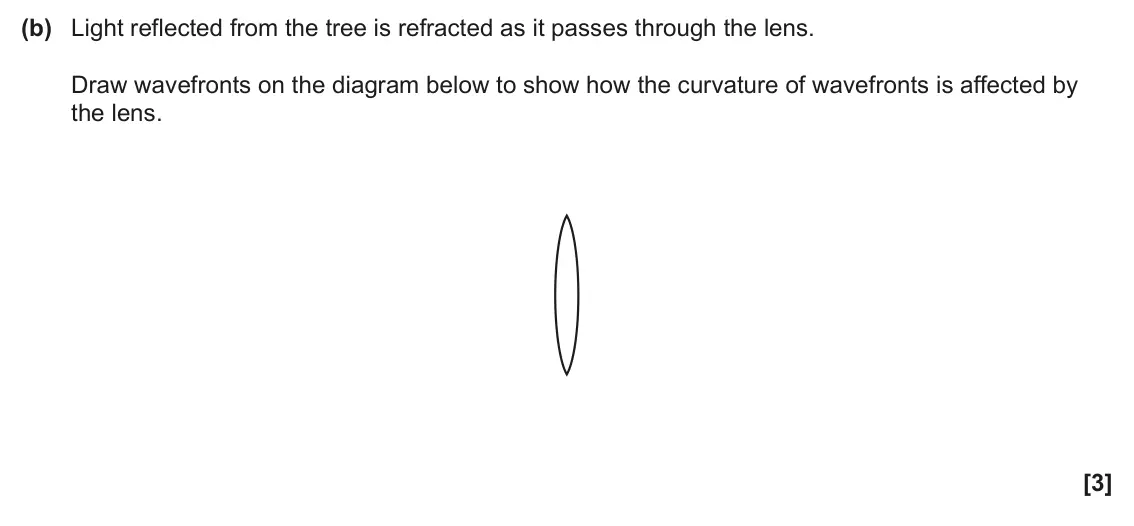 June 2025 AS Paper 1, question 23(b): Light reflected from the tree is refracted as it passes through the lens. Draw wavefronts on the diagram below to show how the curvature of wavefronts is affect
