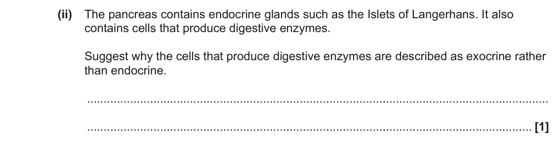 June 2022 Paper 1, question 21(a)(ii): The pancreas contains endocrine glands such as the Islets of Langerhans. It also contains cells that produce digestive enzymes. Suggest why the cells that produ