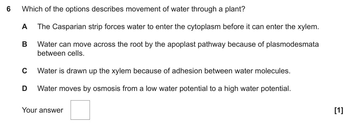 June 2023 Paper 1, question 6: Which of the options describes movement of water through a plant? A The Casparian strip forces water to enter the cytoplasm before it can enter the xylem. B Wat