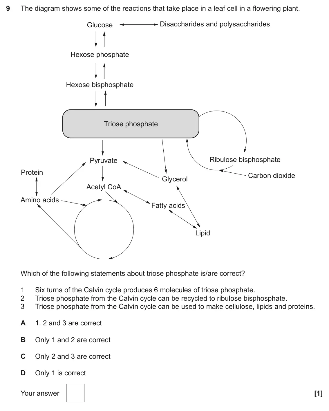 June 2023 Paper 1, question 9: The diagram shows some of the reactions that take place in a leaf cell in a flowering plant. Disaccharides and polysaccharides Glucose Hexose phosphate Hexose b