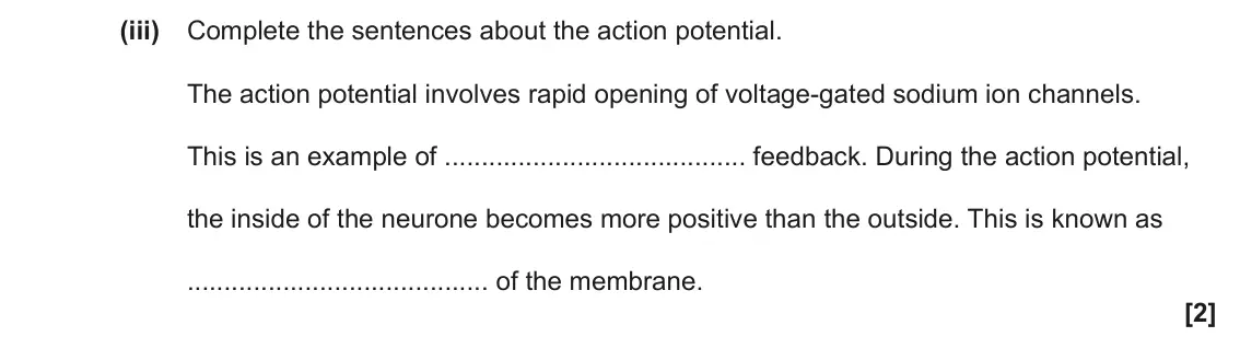 June 2023 Paper 1, question 18(a)(iii): Complete the sentences about the action potential. The action potential involves rapid opening of voltage-gated sodium ion channels. This is an example of feedb