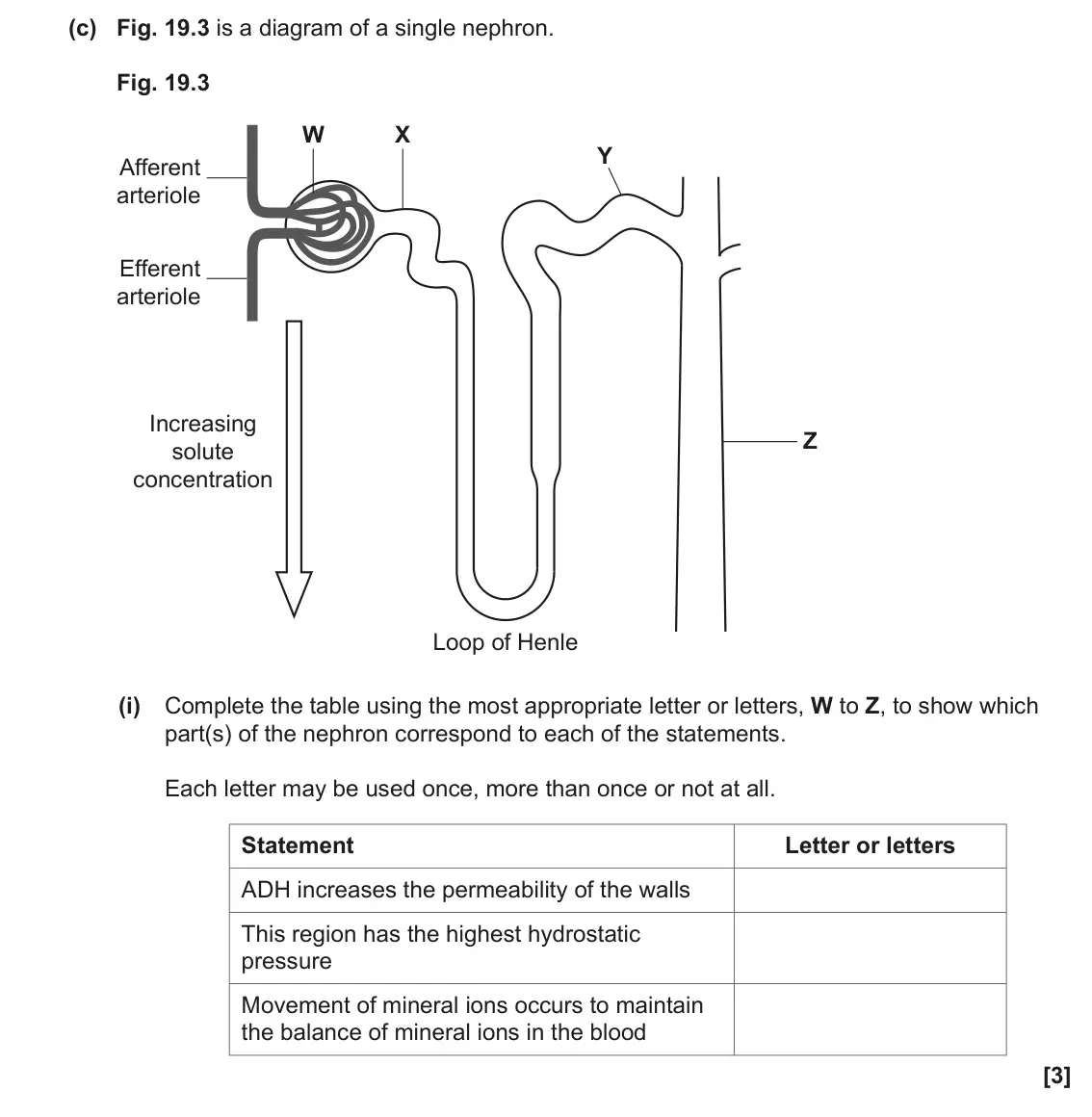 June 2023 Paper 1, question 19(c)(i): Complete the table using the most appropriate letter or letters, W to Z, to show which part(s) of the nephron correspond to each of the statements. Each letter 