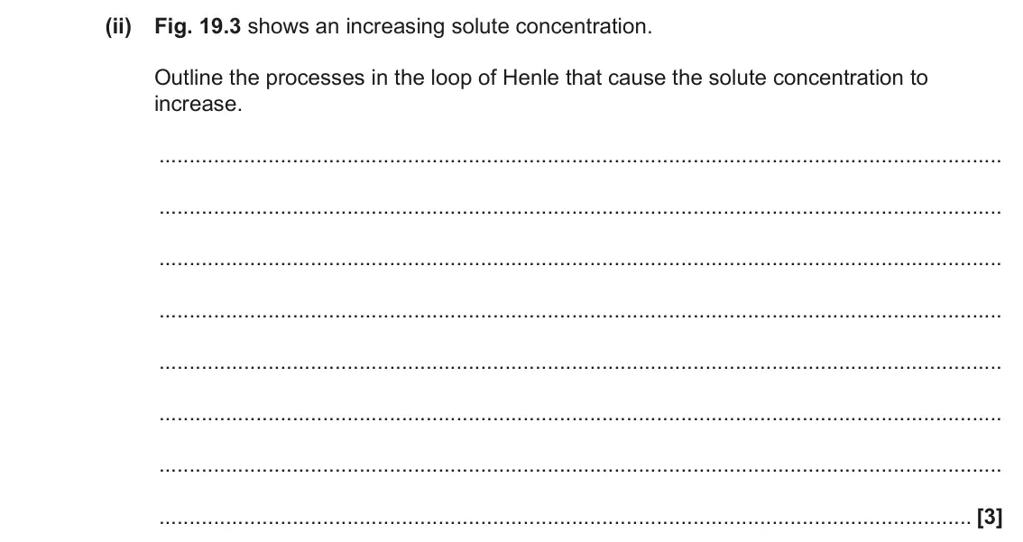 June 2023 Paper 1, question 19(c)(ii): Fig. 19.3 shows an increasing solute concentration. Outline the processes in the loop of Henle that cause the solute concentration to increase. [3]