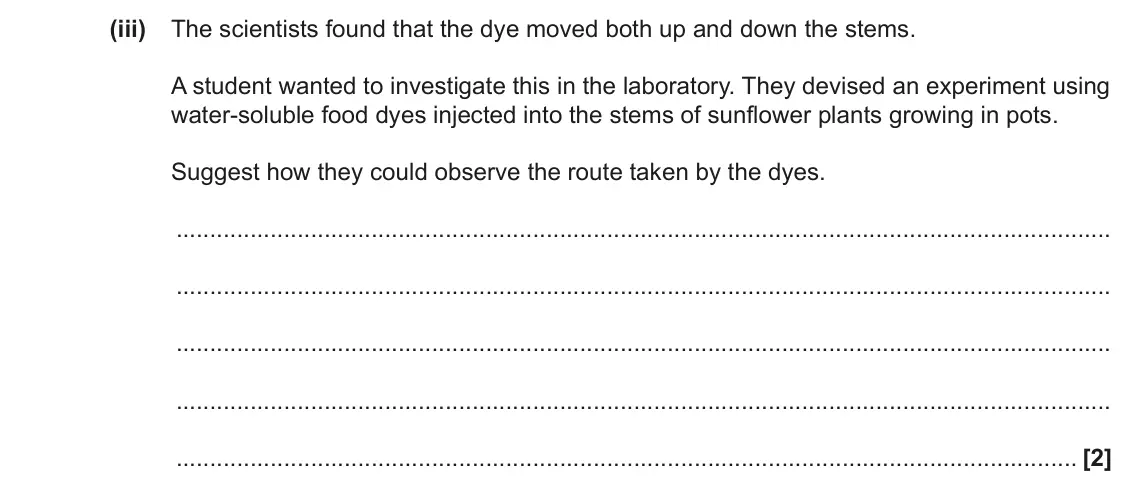 June 2023 Paper 1, question 21(a)(iii): The scientists found that the dye moved both up and down the stems. A student wanted to investigate this in the laboratory. They devised an experiment using wat