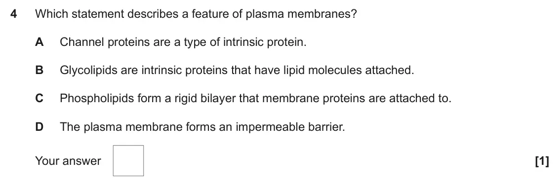 June 2024 Paper 1, question 4: Which statement describes a feature of plasma membranes? A Channel proteins are a type of intrinsic protein. B Glycolipids are intrinsic proteins that have lipi