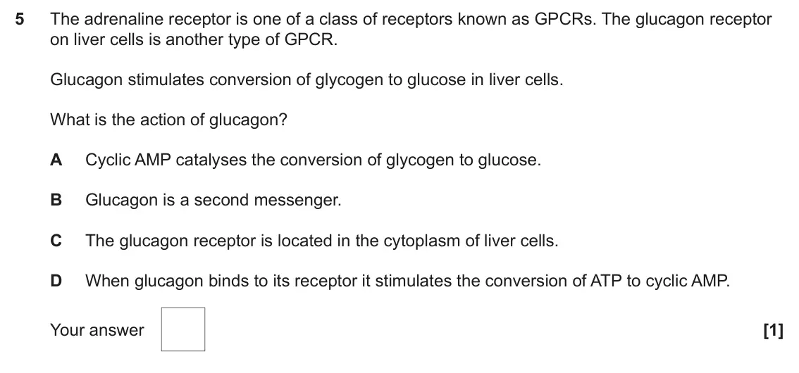 June 2024 Paper 1, question 5: The adrenaline receptor is one of a class of receptors known as GPCRs. The glucagon receptor on liver cells is another type of GPCR. Glucagon stimulates convers
