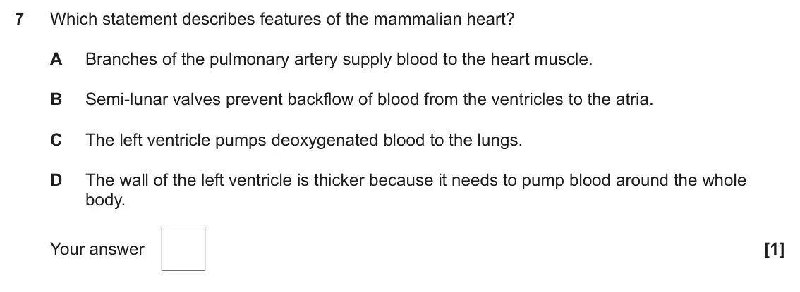 June 2024 Paper 1, question 7: Which statement describes features of the mammalian heart? A Branches of the pulmonary artery supply blood to the heart muscle. B Semi-lunar valves prevent back