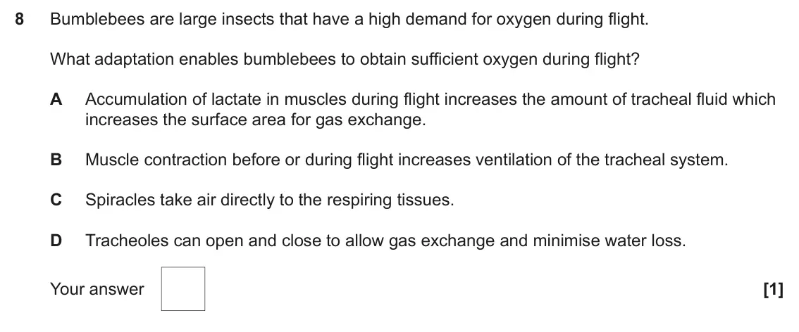 June 2024 Paper 1, question 8: Bumblebees are large insects that have a high demand for oxygen during flight. What adaptation enables bumblebees to obtain sufficient oxygen during flight? A A