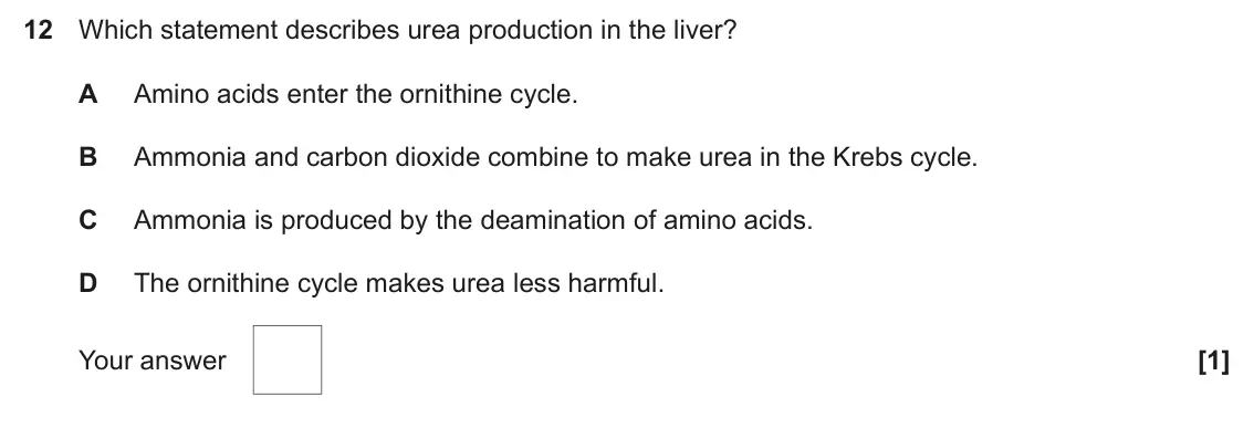 June 2024 Paper 1, question 12: Which statement describes urea production in the liver? A Amino acids enter the ornithine cycle. B Ammonia and carbon dioxide combine to make urea in the Krebs 