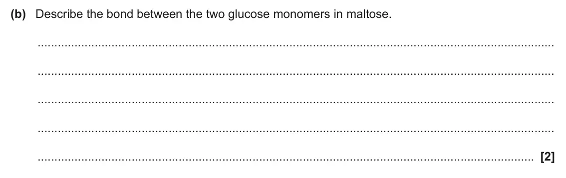 June 2024 Paper 1, question 16(b): Describe the bond between the two glucose monomers in maltose. [2]