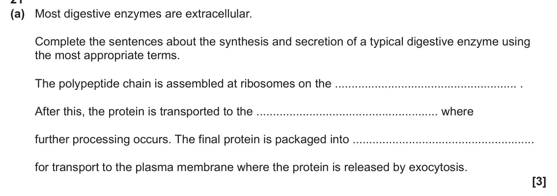 June 2024 Paper 1, question 21(a): Most digestive enzymes are extracellular. Complete the sentences about the synthesis and secretion of a typical digestive enzyme using the most appropriate term