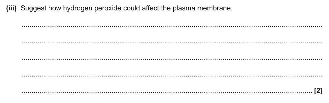 June 2024 Paper 1, question 21(c)(iii): Suggest how hydrogen peroxide could affect the plasma membrane. [2]
