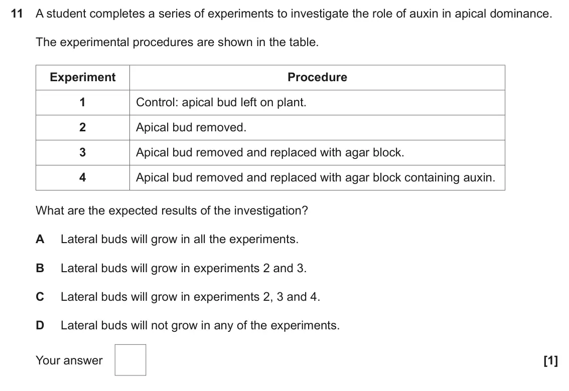 June 2025 Paper 1, question 11: A student completes a series of experiments to investigate the role of auxin in apical dominance. The experimental procedures are shown in the table. Experiment
