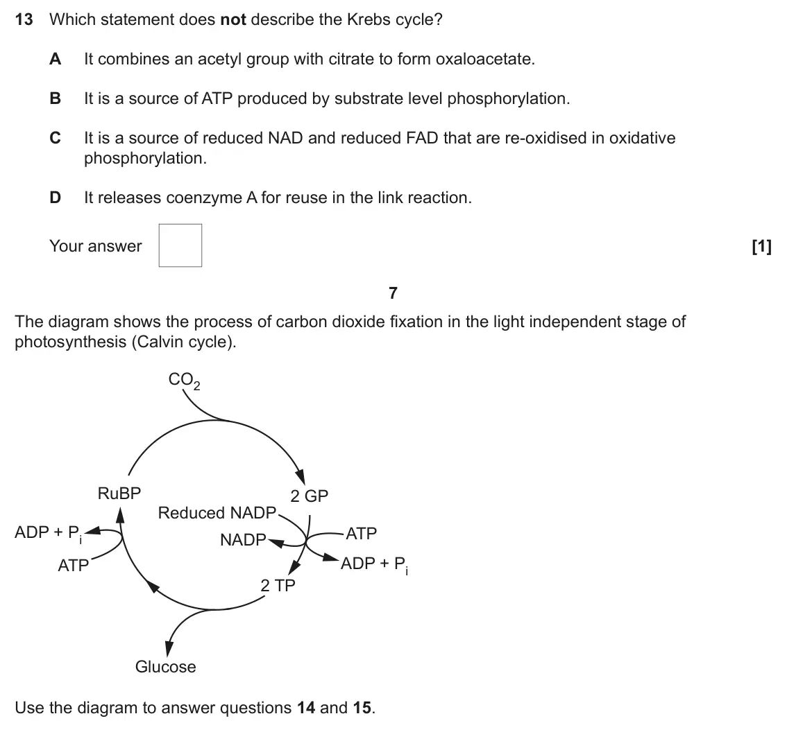 June 2025 Paper 1, question 13: Which statement does not describe the Krebs cycle? A It combines an acetyl group with citrate to form oxaloacetate. B It is a source of ATP produced by substrat