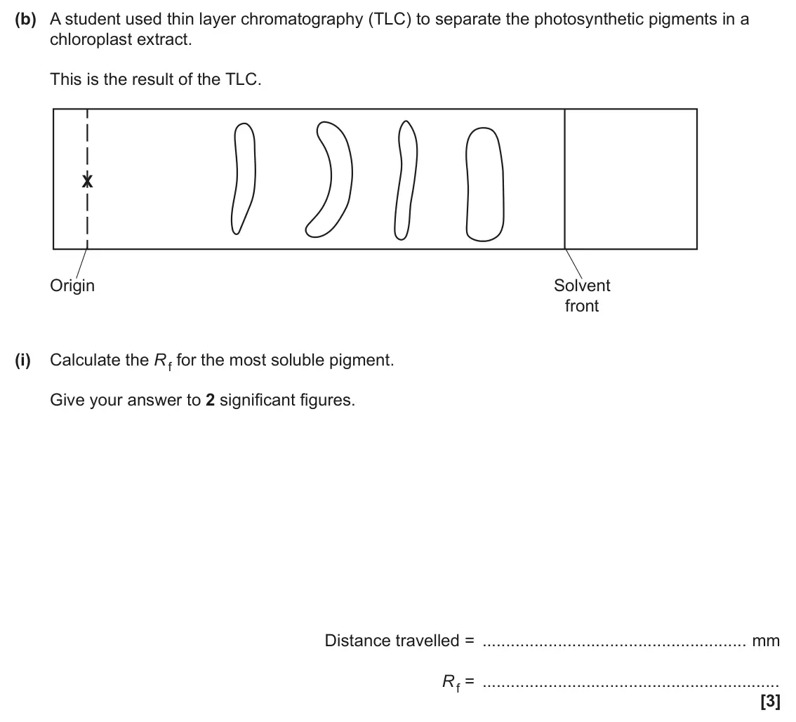 June 2025 Paper 1, question 16(b)(i): Calculate the R f for the most soluble pigment. Give your answer to 2 significant figures. Distance travelled = mm Rf = [3]