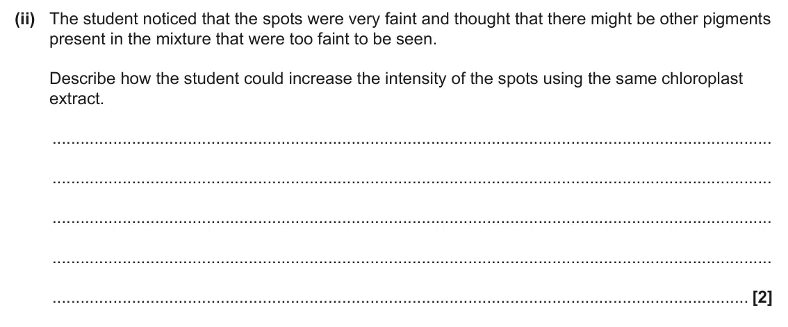 June 2025 Paper 1, question 16(b)(ii): The student noticed that the spots were very faint and thought that there might be other pigments present in the mixture that were too faint to be seen. Describ