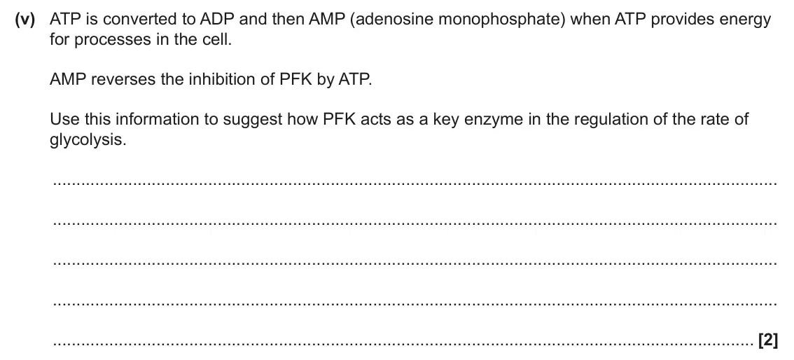 June 2025 Paper 1, question 17(a)(v): ATP is converted to ADP and then AMP (adenosine monophosphate) when ATP provides energy for processes in the cell. AMP reverses the inhibition of PFK by ATP. Us
