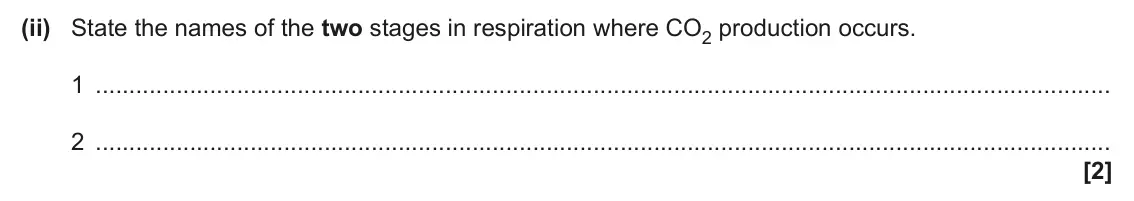 June 2025 Paper 1, question 17(c)(ii): State the names of the two stages in respiration where CO2 production occurs. 1 2 [2]