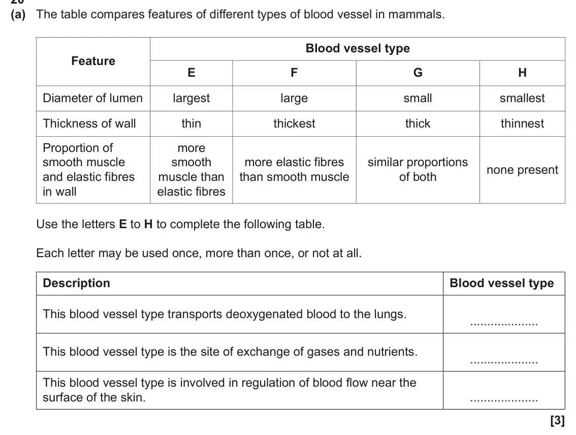 June 2025 Paper 1, question 20(a): The table compares features of different types of blood vessel in mammals. Blood vessel type Feature E F G H Diameter of lumen largest large small smallest Thic