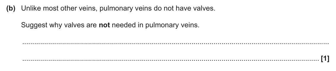 June 2025 Paper 1, question 20(b): Unlike most other veins, pulmonary veins do not have valves. Suggest why valves are not needed in pulmonary veins. [1]