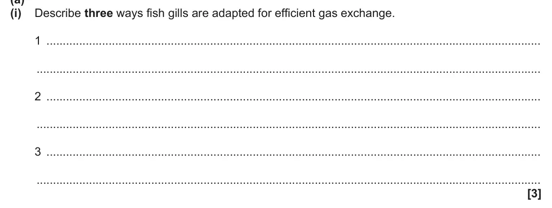 June 2025 Paper 1, question 21(a)(i): Describe three ways fish gills are adapted for efficient gas exchange. 1 2 3 [3]