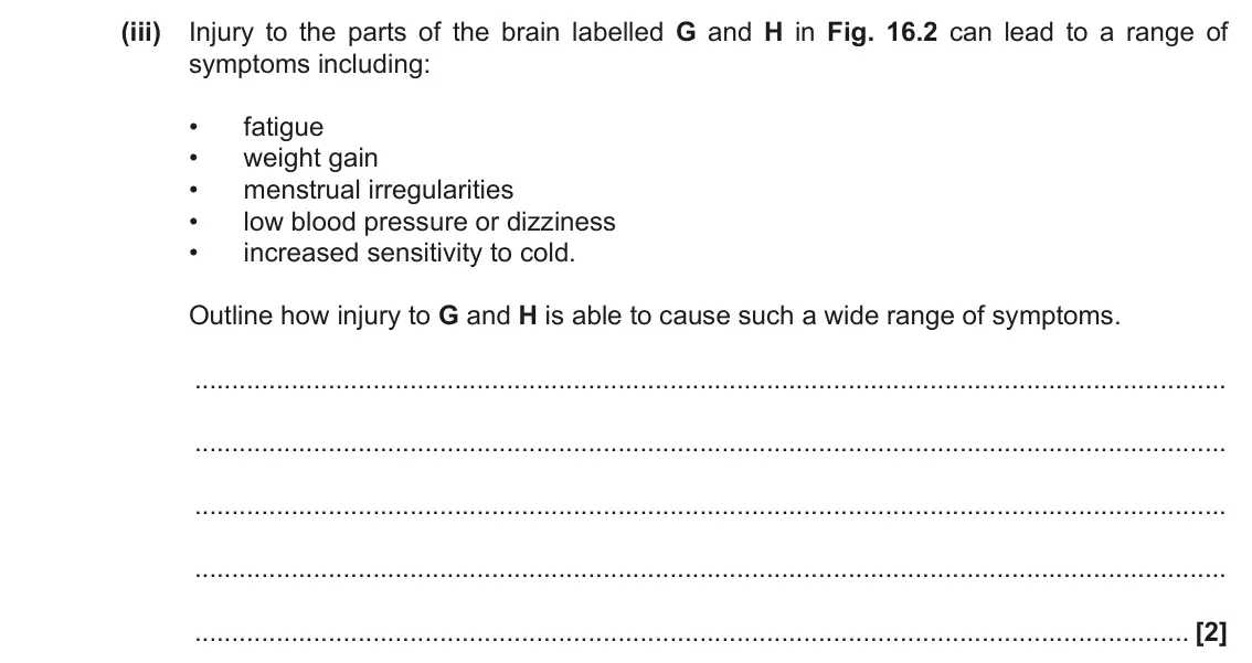 November 2021 Paper 1, question 16(b)(iii): Injury to the parts of the brain labelled G and H in Fig. 16.2 can lead to a range of symptoms including: • fatigue • weight gain • menstrual irregularities • l
