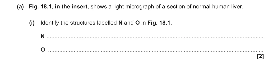 November 2021 Paper 1, question 18(a)(i): Identify the structures labelled N and O in Fig. 18.1. N O [2]