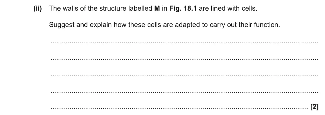 November 2021 Paper 1, question 18(a)(ii): The walls of the structure labelled M in Fig. 18.1 are lined with cells. Suggest and explain how these cells are adapted to carry out their function. [2]