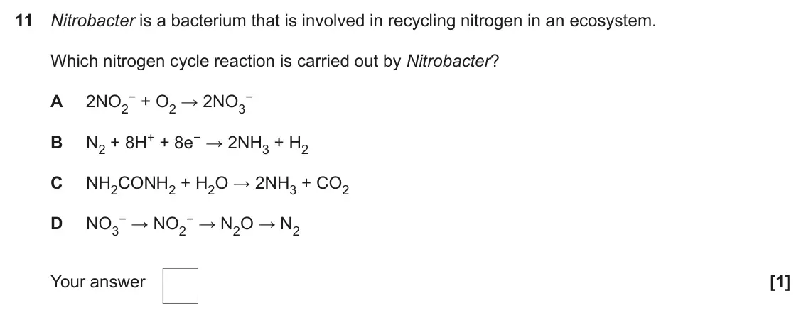 June 2022 Paper 2, question 11: Nitrobacter is a bacterium that is involved in recycling nitrogen in an ecosystem. Which nitrogen cycle reaction is carried out by Nitrobacter? − + O2 → 2NO3 −
