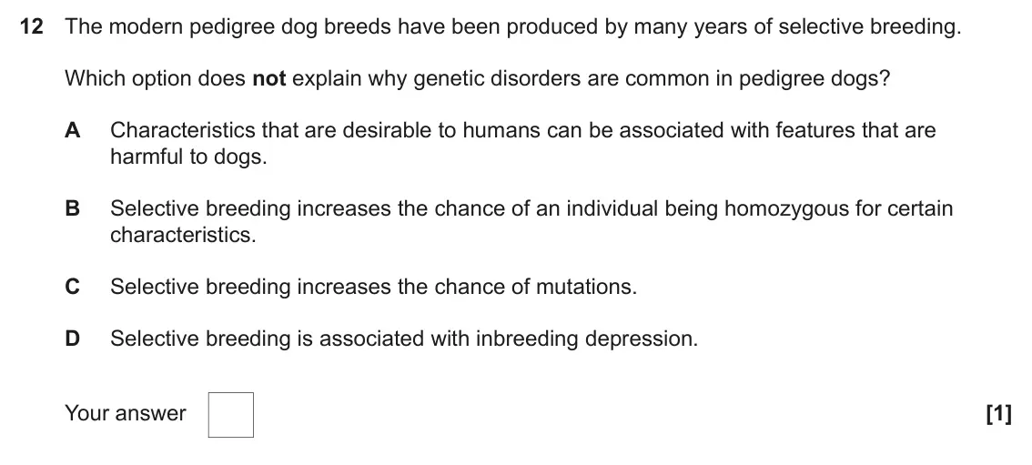June 2023 Paper 2, question 12: The modern pedigree dog breeds have been produced by many years of selective breeding. Which option does not explain why genetic disorders are common in pedigre