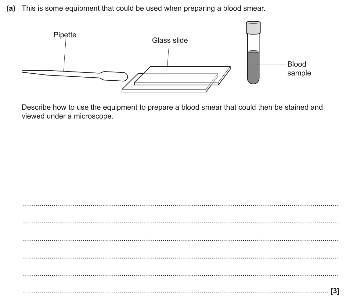 June 2024 Paper 2, question 17(a): This is some equipment that could be used when preparing a blood smear. Pipette Glass slide Blood sample Describe how to use the equipment to prepare a blood sm