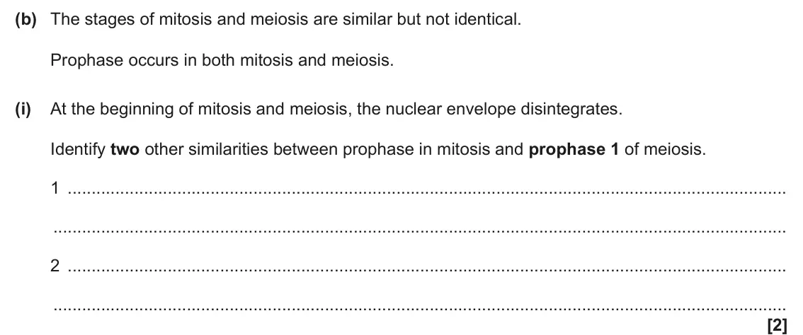 June 2024 Paper 2, question 21(b)(i): At the beginning of mitosis and meiosis, the nuclear envelope disintegrates. Identify two other similarities between prophase in mitosis and prophase 1 of meios
